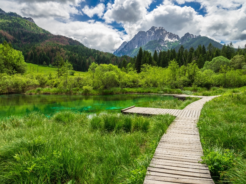 Landschaft wasser natur wald