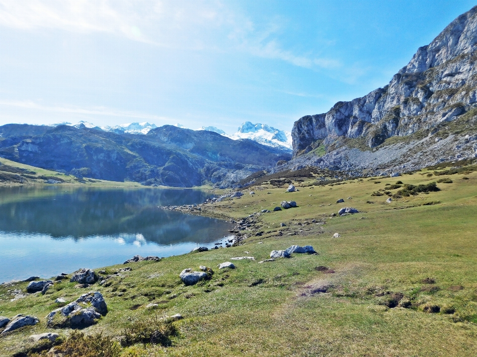 Paesaggio acqua natura erba