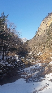 Landscape tree nature wilderness Photo