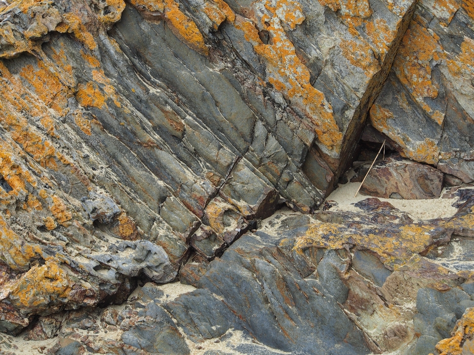 árbol rock estructura madera