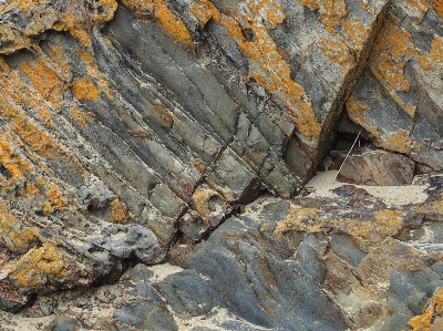 Tree rock structure wood Photo