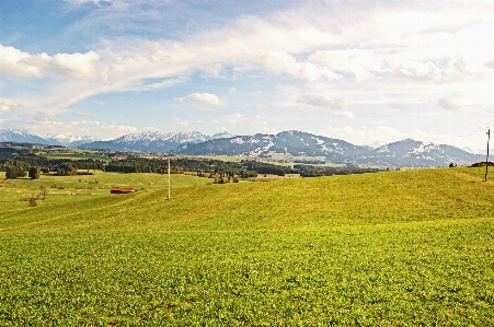 Landscape nature forest grass Photo