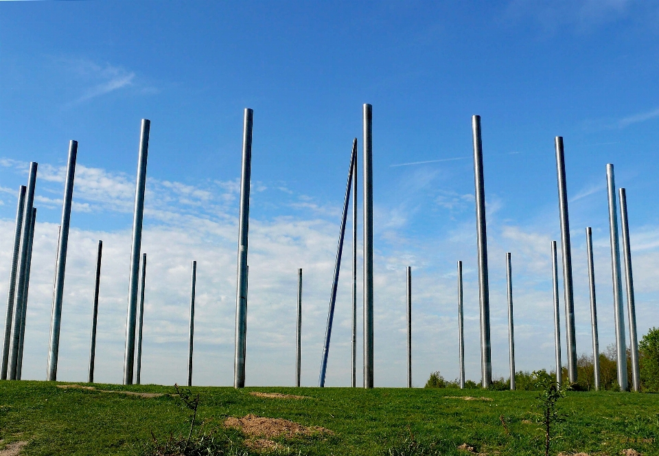 Rumput cakrawala langit bidang