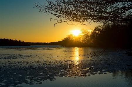 Landscape sea tree water Photo