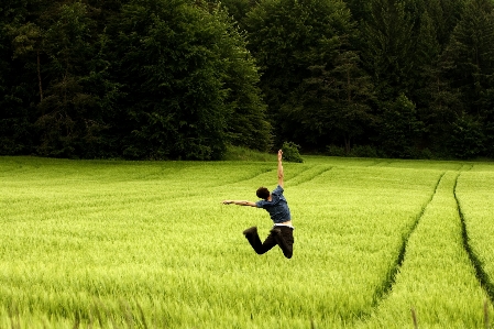 Man nature forest grass Photo