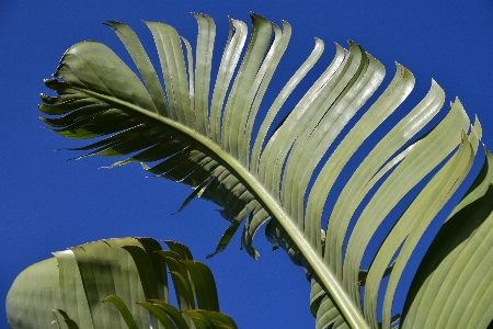 Tree nature grass bird Photo