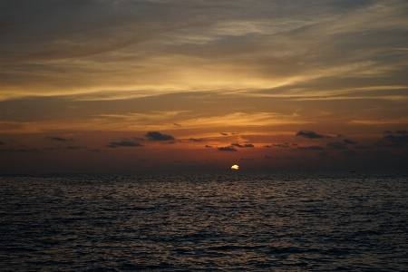 Beach sea coast nature Photo