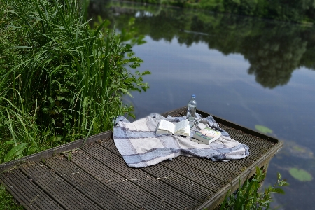 Water nature grass book Photo