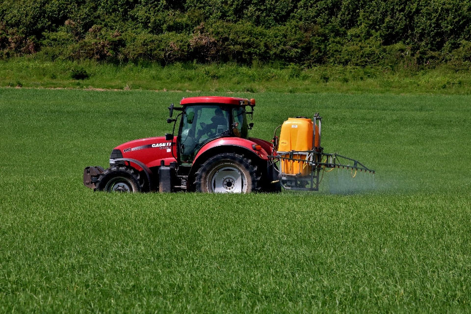 Herbe foins tracteur champ