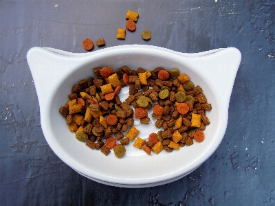 White fruit bowl dish Photo