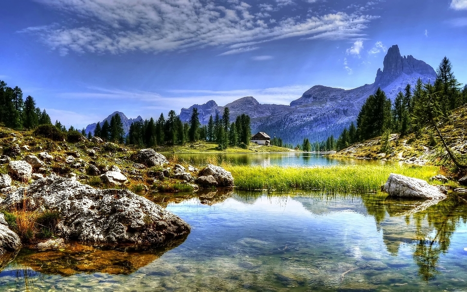 Landschaft baum wasser natur