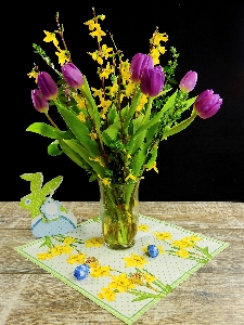 Table blossom plant flower Photo