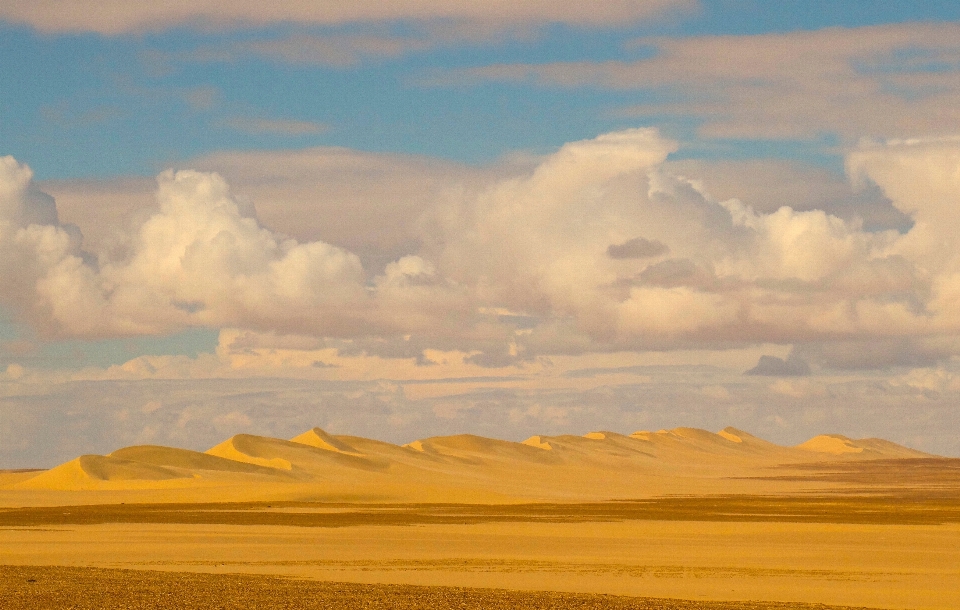 Landscape nature outdoor sand