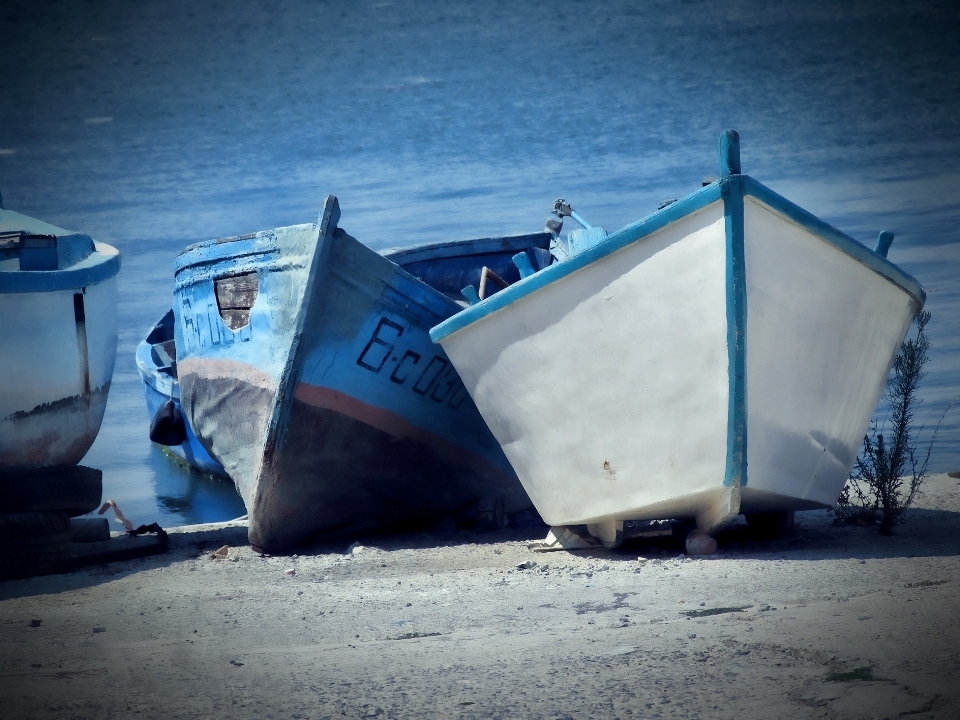 Spiaggia mare acqua natura