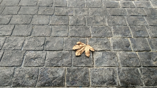 Rock 歩道
 床 石畳
 写真