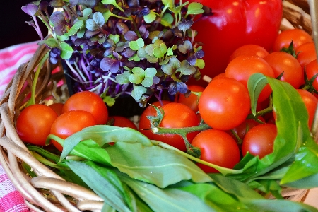 Plant fruit food harvest Photo