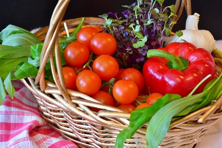 Plant fruit food harvest Photo