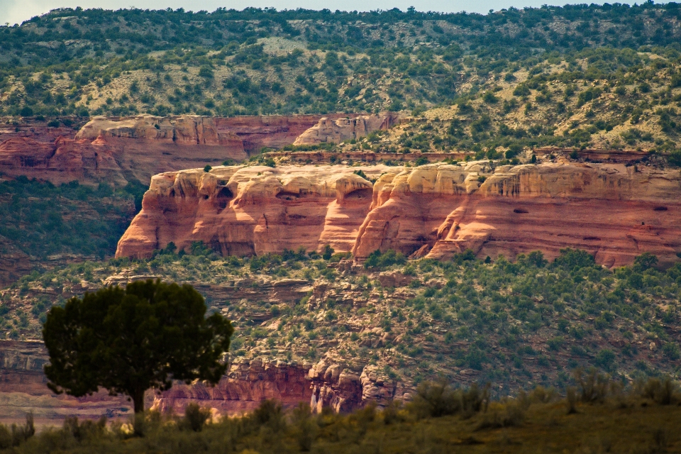 Paisaje naturaleza rock desierto
