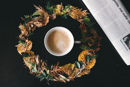 Foto Cabang kopi tanaman daun