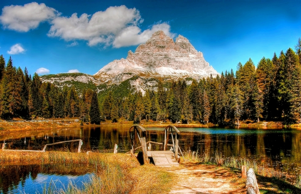 Paisaje árbol naturaleza bosque