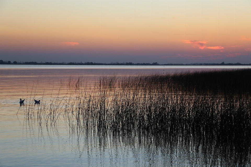 Mer eau nature horizon