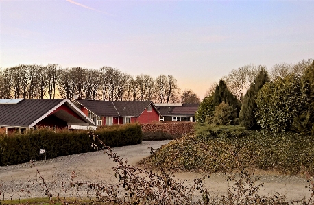 Landscape tree hiking farm Photo