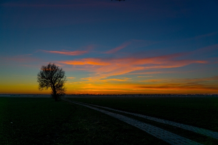 Horizon cloud sky sun Photo