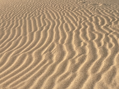 Beach landscape sea coast Photo