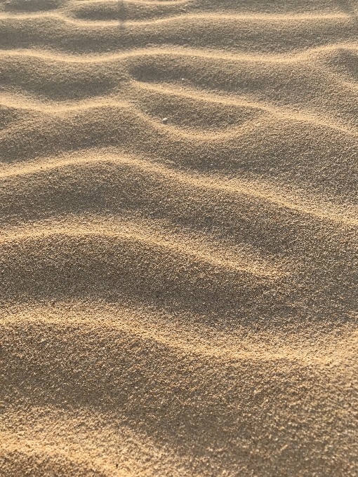 Strand landschaft meer küste