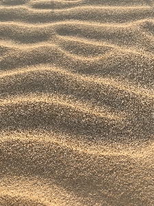 Beach landscape sea coast Photo