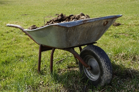 Work grass farm lawn Photo