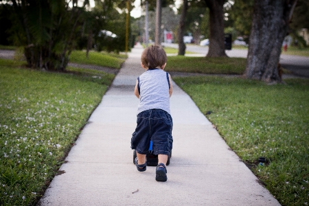 Grass lawn sidewalk neighborhood Photo