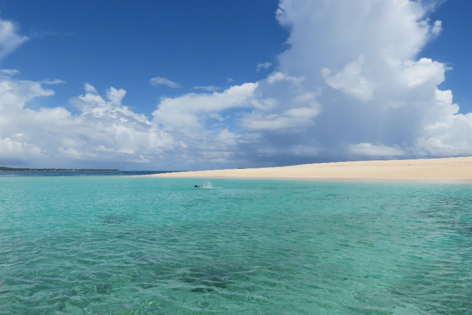 Plage mer côte eau