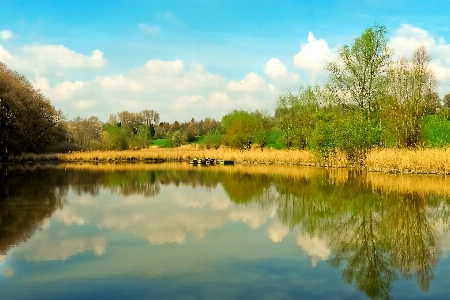 Landscape tree water nature Photo