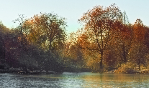 Landschaft baum wasser natur Foto