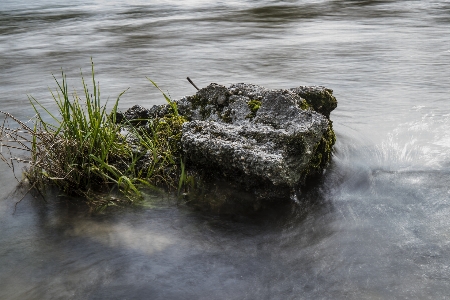 Sea water nature grass Photo