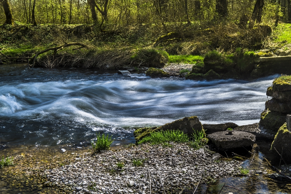 Paisagem árvore água natureza