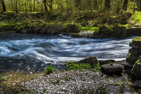 Zdjęcie Krajobraz drzewo woda natura