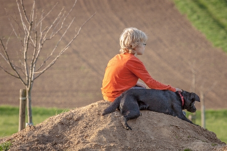 Adventure dog pet spring Photo