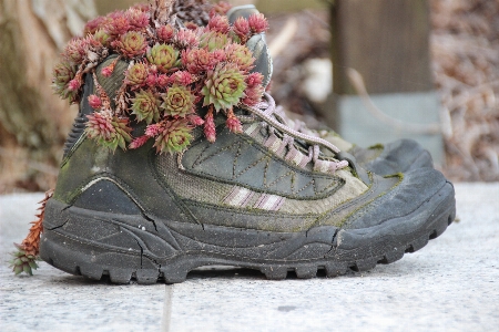 Shoe boot spring hiking shoes Photo