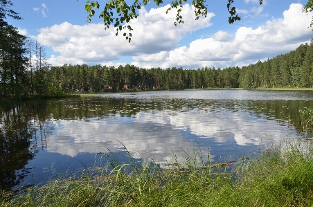 Landscape tree water nature Photo