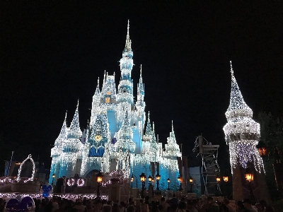 Glowing night recreation amusement park Photo