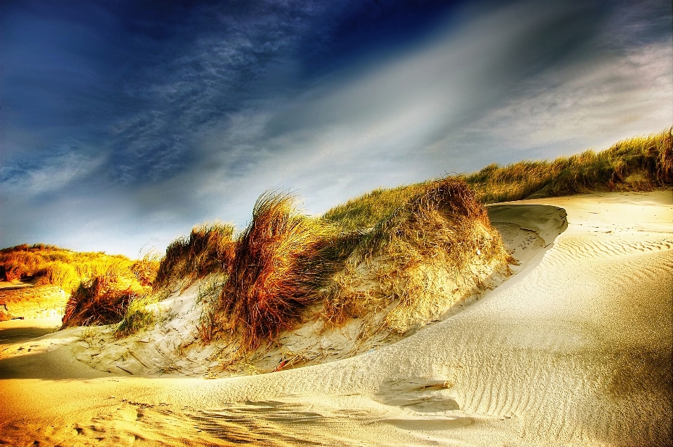 Beach landscape sea coast