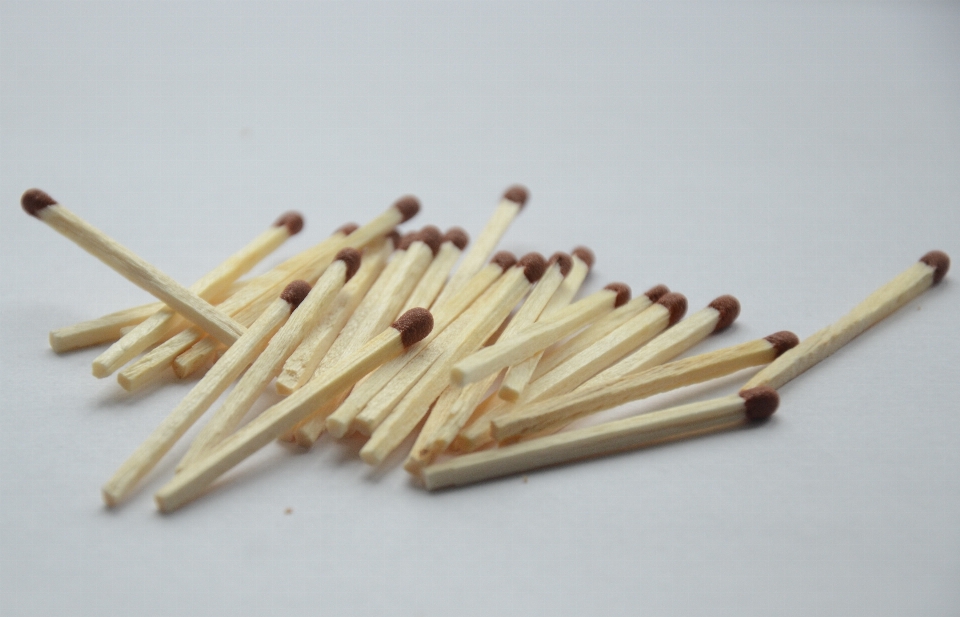 Tree wood match sticks