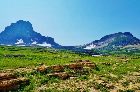 Foto Paisagem árvore natureza grama