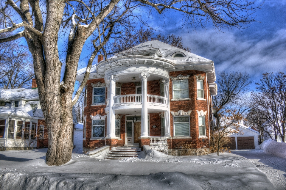 Arbre neige hiver architecture