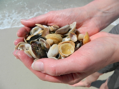 Foto Pantai laut alam musim panas