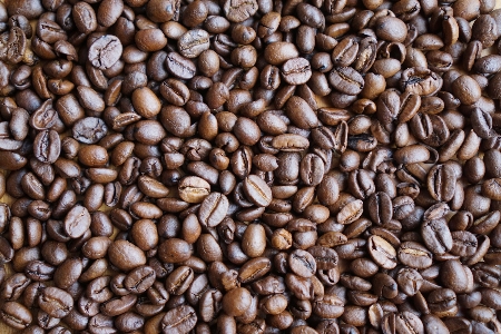 コーヒー 香り 食べ物 生産 写真