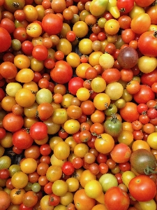 Foto Planta fruta verano maduro
