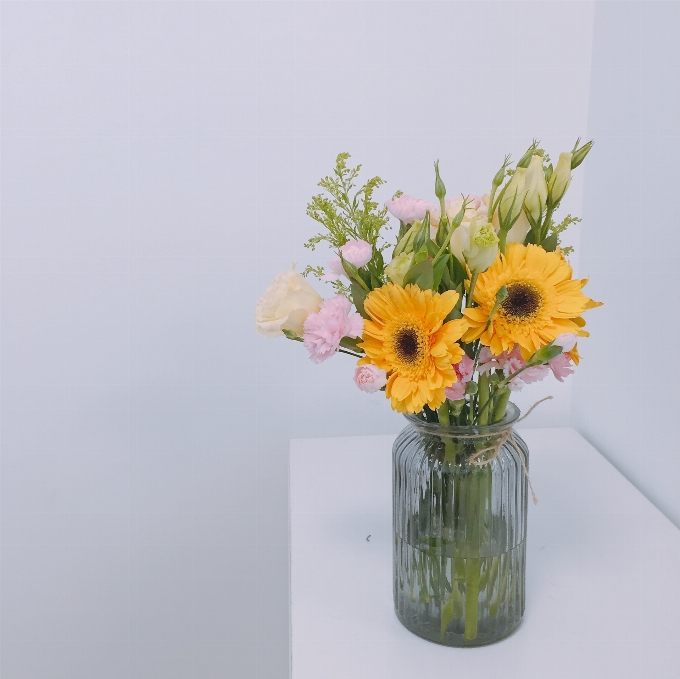 Pianta fiore vaso giallo